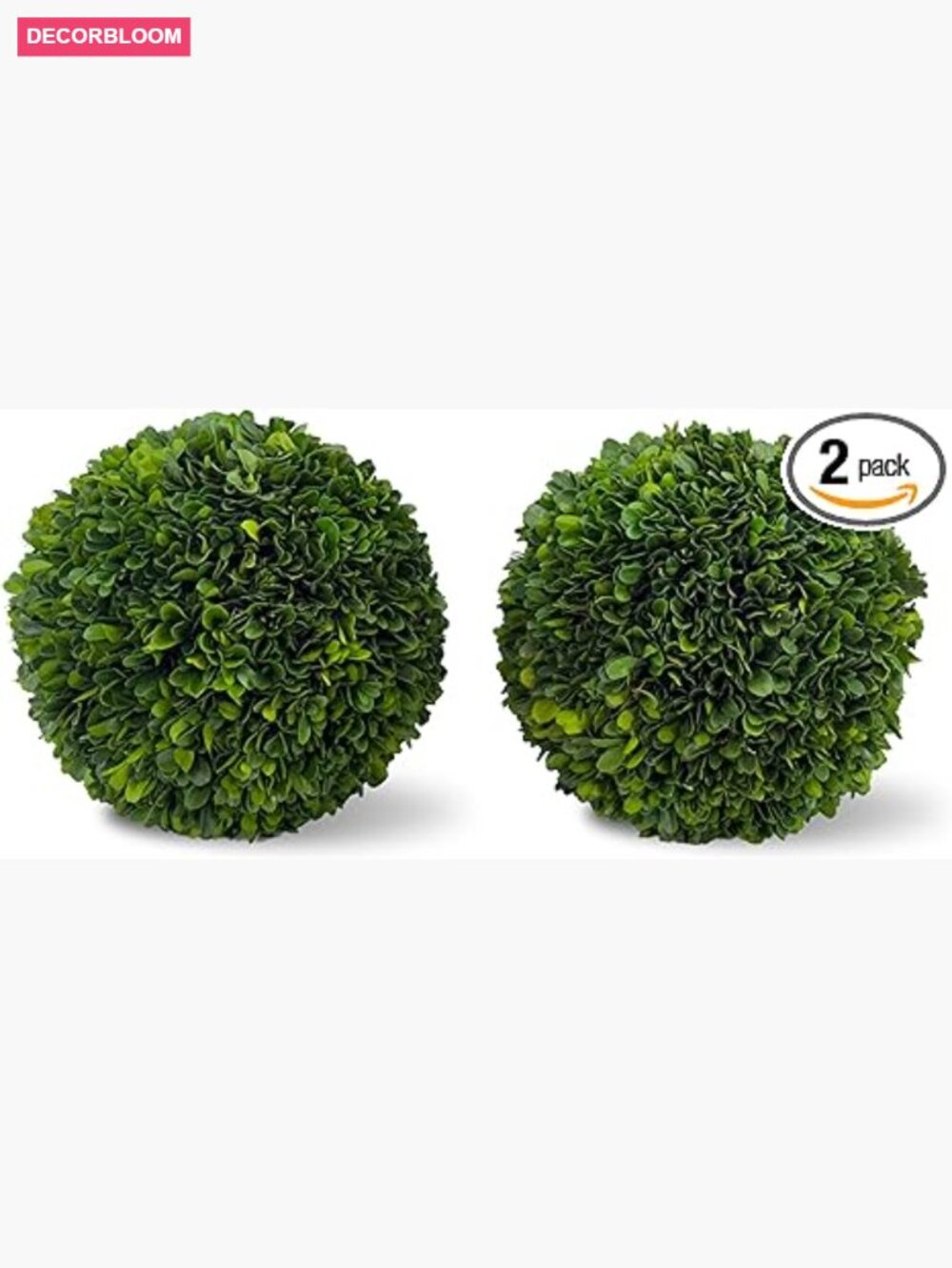 Real Preserved Boxwood Topiary Ball Set of 2 - 8 Inch